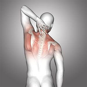 Serivce Image